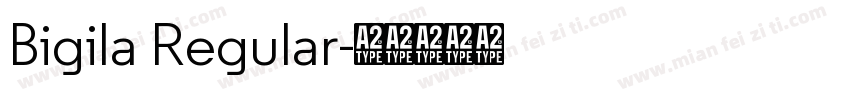 Bigila Regular字体转换